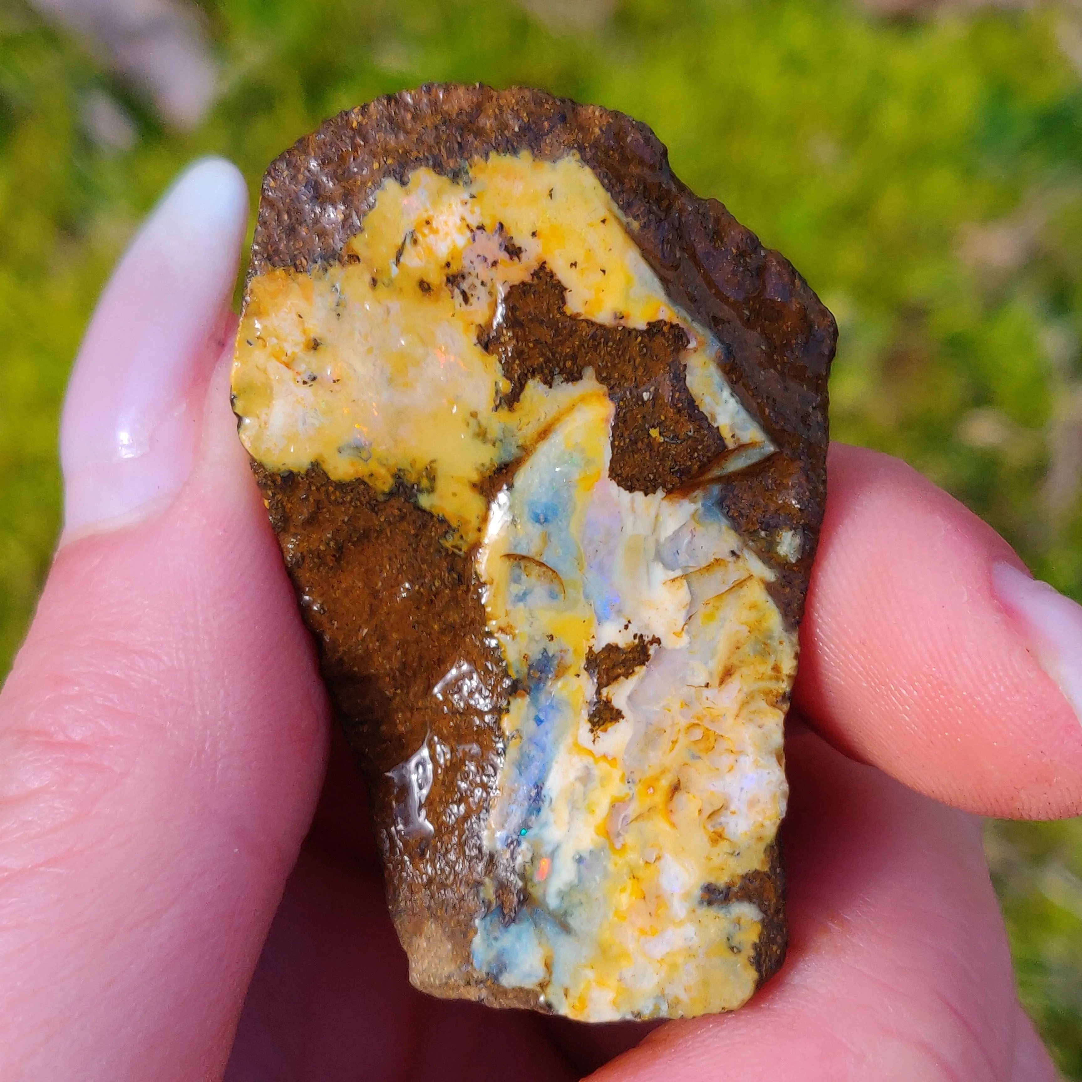 Australian Boulder Opal Rough Specimen (#7)